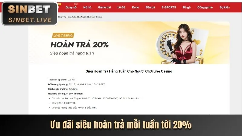 Dealer trực tiếp đang chia bài Baccarat tại 388bet
